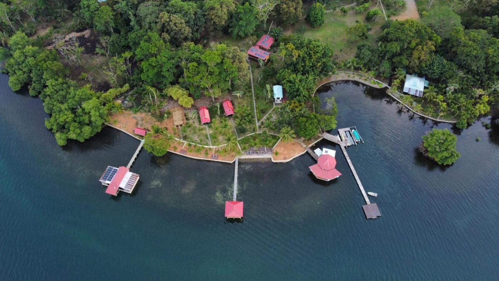 Dolphin Blue Paradise Bocas del Toro Esterno foto