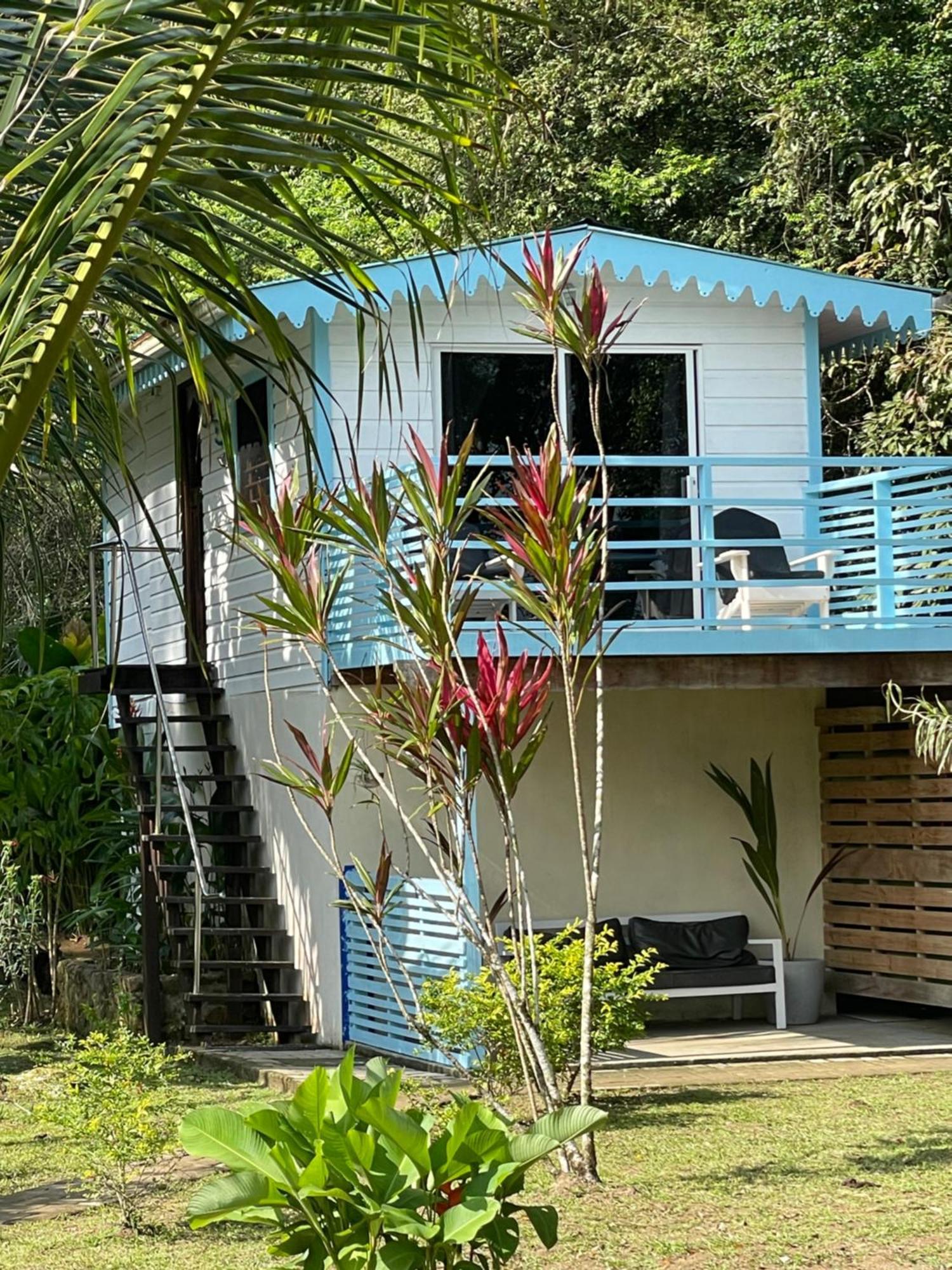 Dolphin Blue Paradise Bocas del Toro Esterno foto