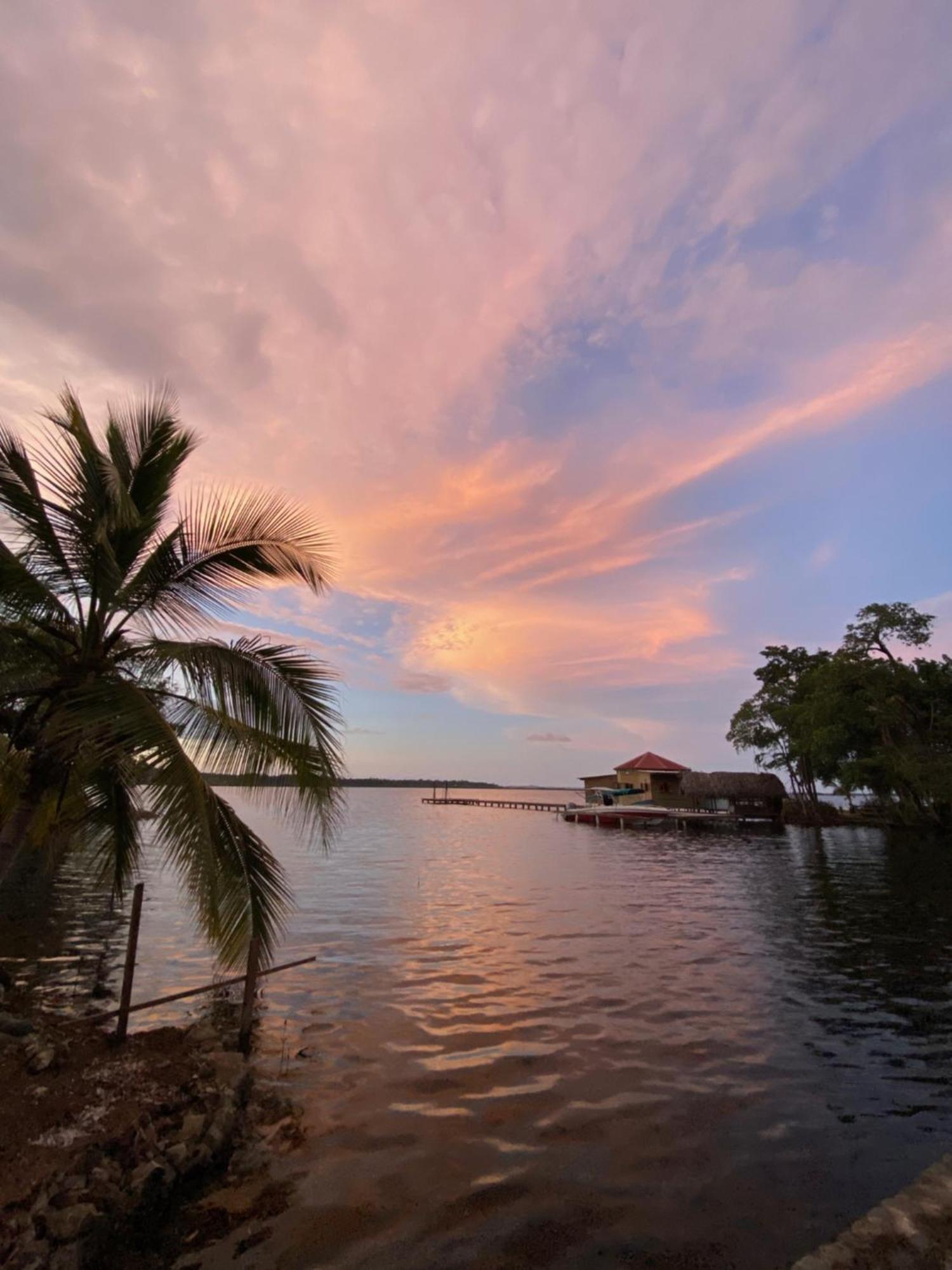 Dolphin Blue Paradise Bocas del Toro Esterno foto