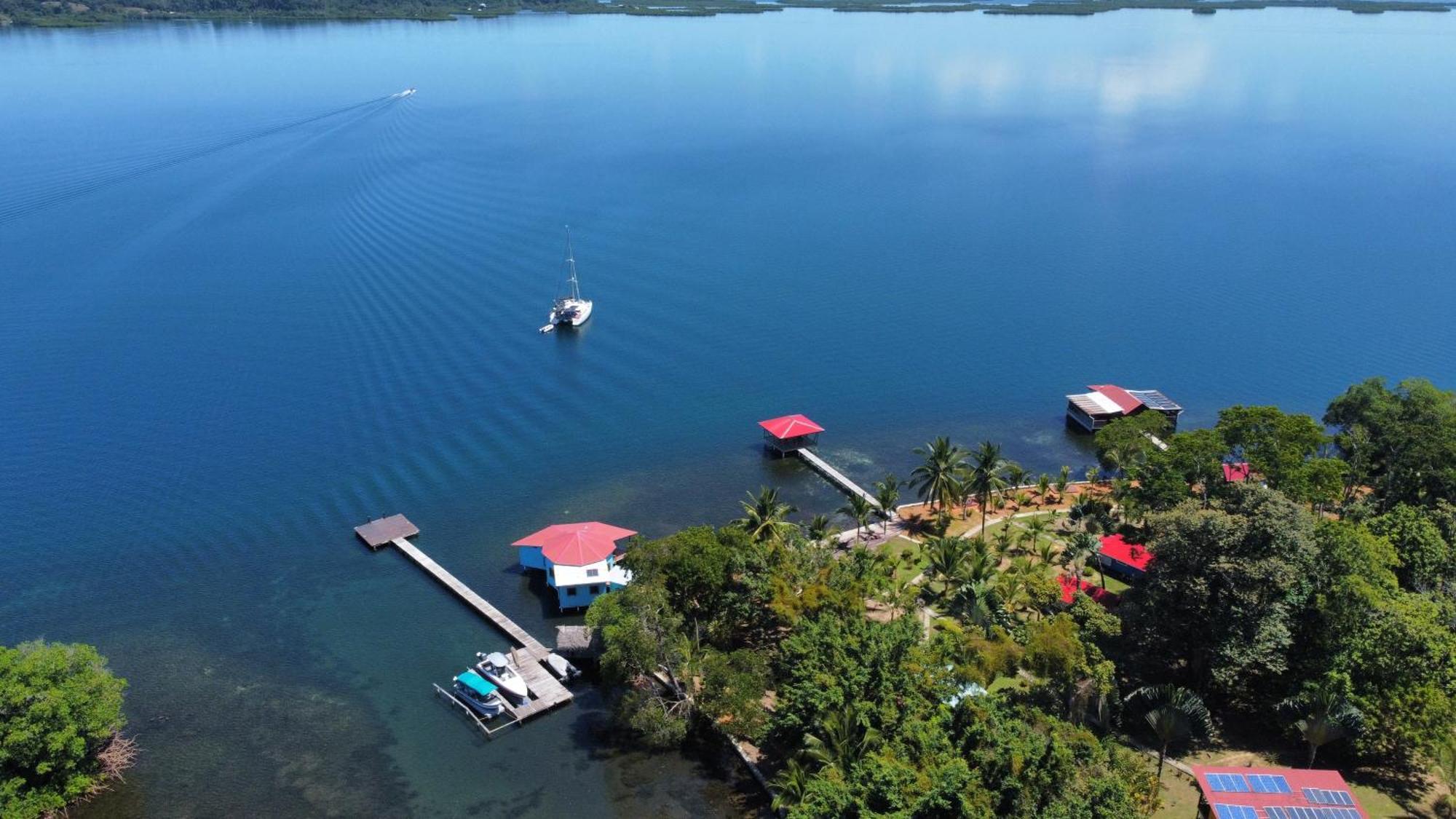 Dolphin Blue Paradise Bocas del Toro Esterno foto