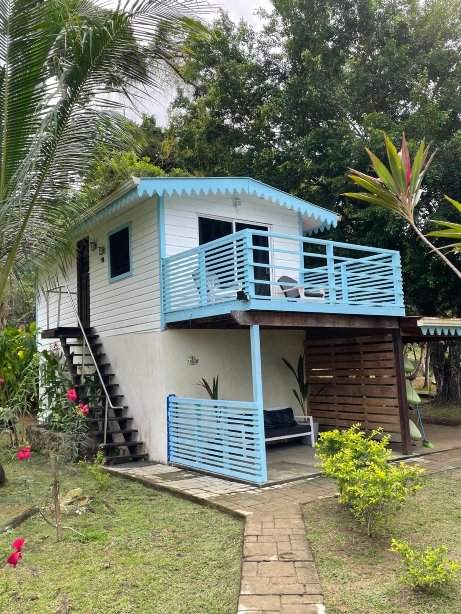 Dolphin Blue Paradise Bocas del Toro Esterno foto
