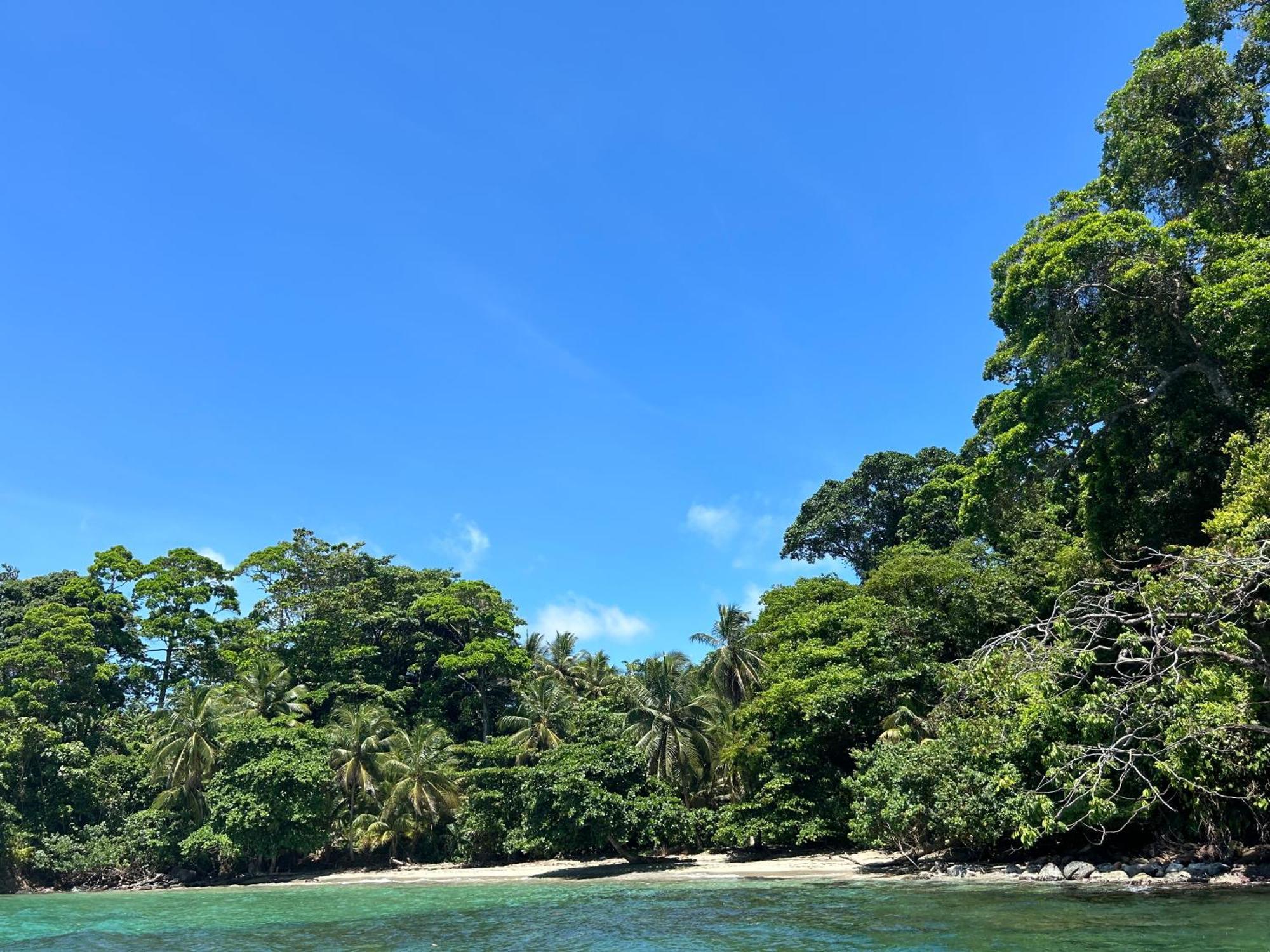 Dolphin Blue Paradise Bocas del Toro Esterno foto